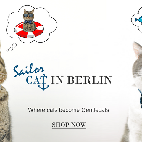Sailor Cat